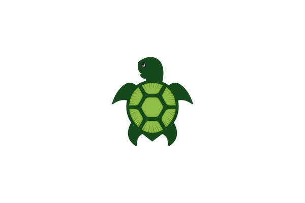 TurtlezApparel