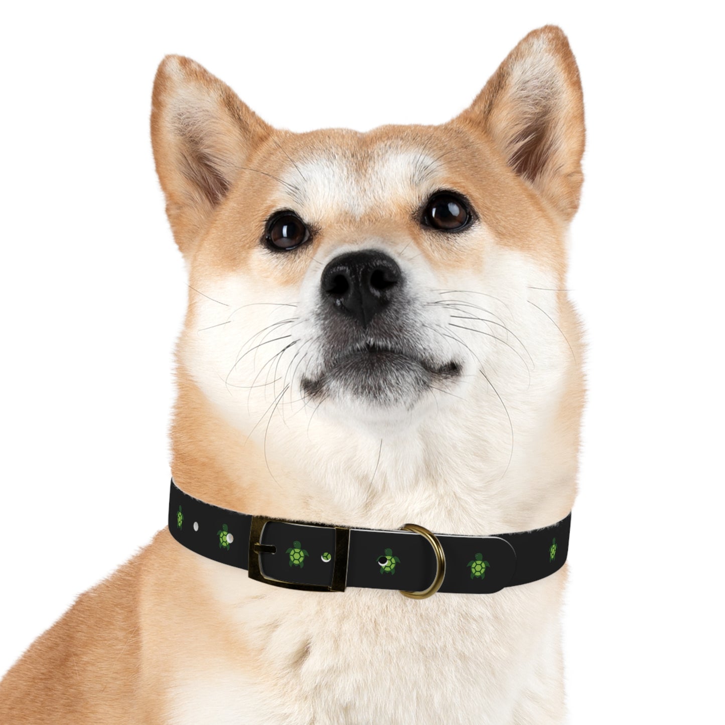 Turtlez Dog Collar