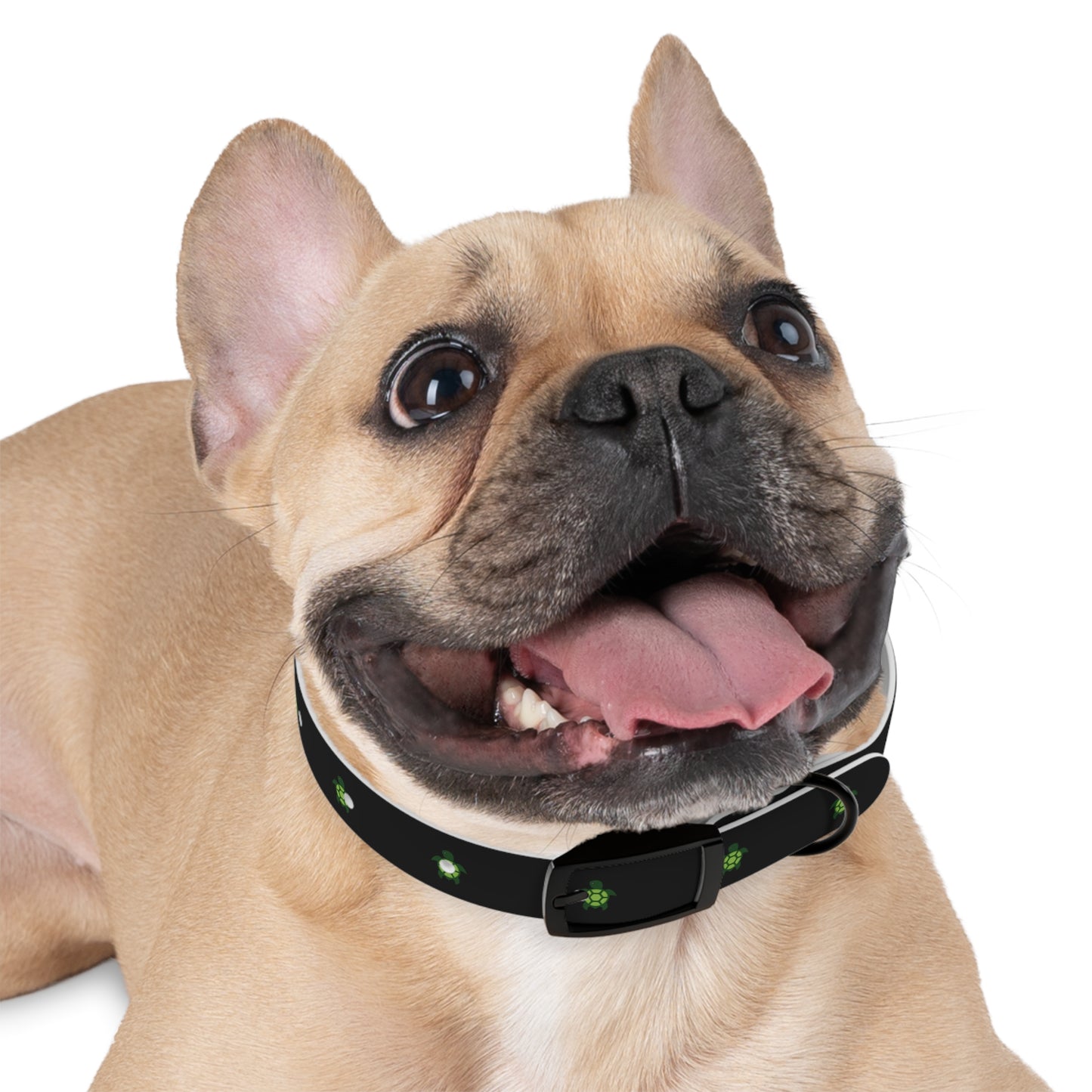 Turtlez Dog Collar